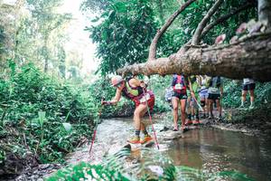 BIB: 
                            <button type="button" onclick="openModal(25454762)" class="btn btn-primary btn-sm float-right btn-popup" data-toggle="modal" data-target=".modal-high-quality">
                        <i class="fas fa-shopping-cart"></i> Add to Cart
                    </button>
                                            <button type="button" onclick="isThisMe(25454762, true)" class="btn btn-success btn-sm float-right btn-popup btn-isme hidden" data-toggle="tooltip" data-placement="bottom" title="นี่คือรูปของคุณใช่ไหม คลิกที่นี่เพื่อเอาเข้าอัลบั้ม">
                        <i class="fas fa-plus"></i> Add to album
                    </button>
                    <button type="button" onclick="isThisMe(25454762, false)" class="btn btn-warning btn-sm float-right btn-popup btn-isnotme hidden">
                        <i class="fas fa-ban"></i> Remove from album
                    </button>